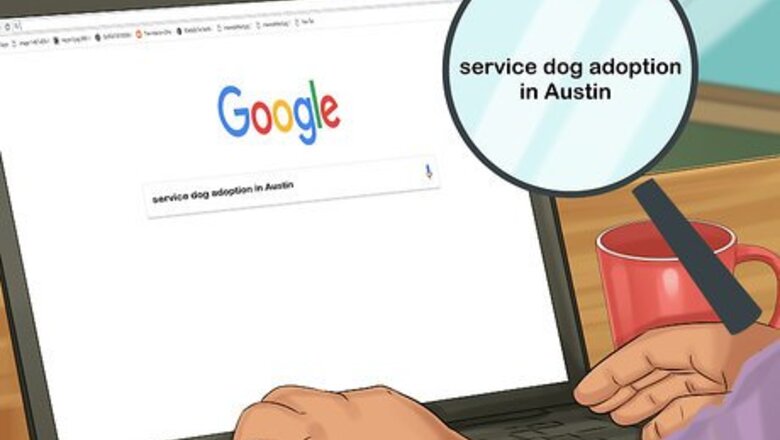 How to Adopt a Retired Guide Dog
