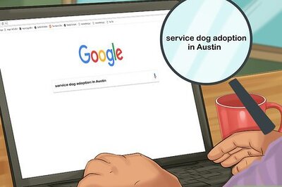 How to Adopt a Retired Guide Dog