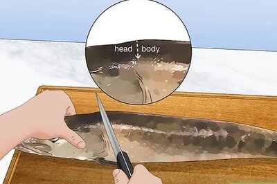 How to Clean and Fillet a Northern Pike