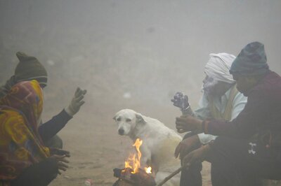 Season's Lowest Temp in Delhi, Below Zero in Parts of Rajasthan; Severe Cold Wave Alert in North India