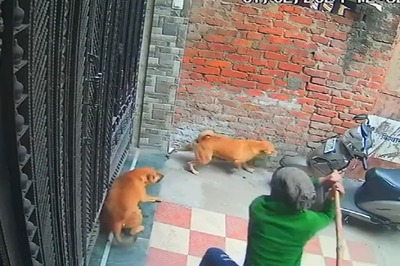 UP: Lucknow Men Thrash Stray Dog For Barking At Them, Break Its Leg