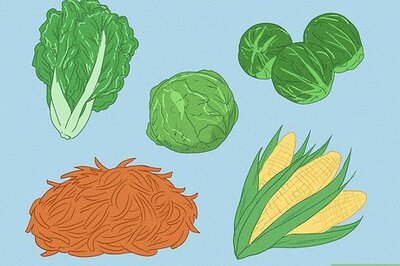 How to Catch Rabbits