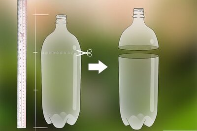 How to Make a Bee Trap