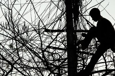 Staff Shortage hits Tamil Nadu Power Utility's Monsoon Maintenance Plans