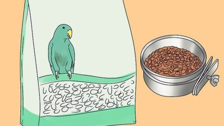 How to Feed a Red Bellied Parrot