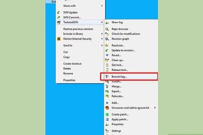 How to Create a Tag and Perform a Revert in TortoiseSVN