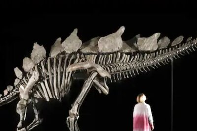 US Fossil Hunter Sells Dinosaur Remains At Record Rs 373 Crore In Auction