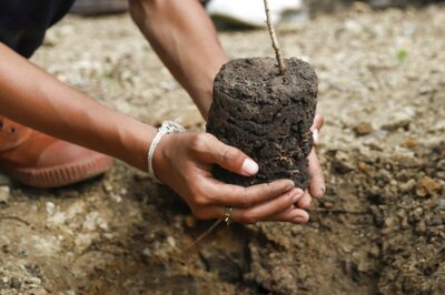 Madhya Pradesh Makes Planting a Sapling Mandatory for College Degree