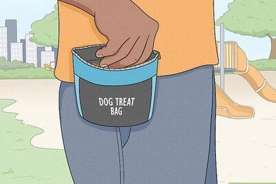 How to Train a Puppy: A Dog Training Pro Shares His Top Tips