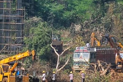Aarey Forest: SC Permits Tribals to Move HC on Felling of Trees