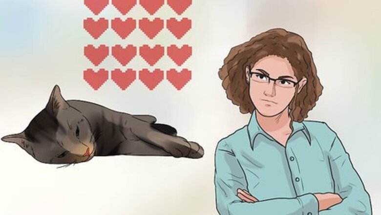 How to Treat Feline Cancer