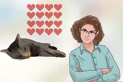 How to Treat Feline Cancer