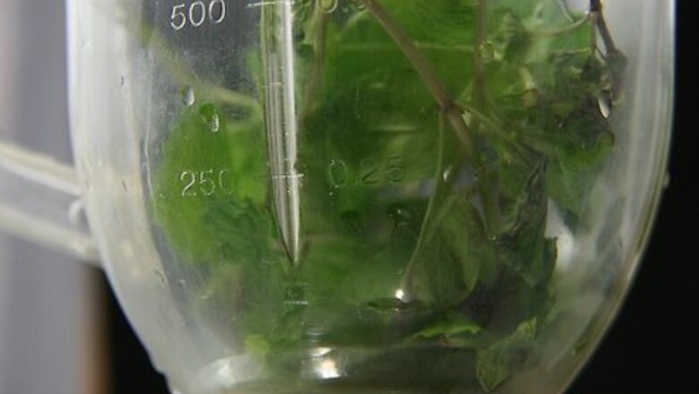 How to Prepare Mojitos for 20 People