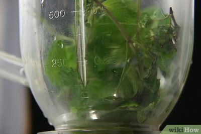 How to Prepare Mojitos for 20 People