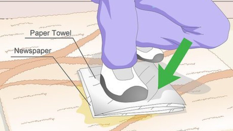 How to Remove Dog Urine