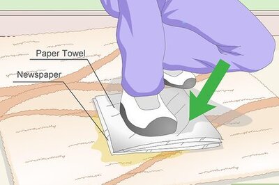 How to Remove Dog Urine