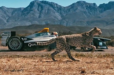 Formula E Racecar vs Cheetah – Guess Who Wins?