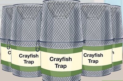 How to Catch a Crayfish