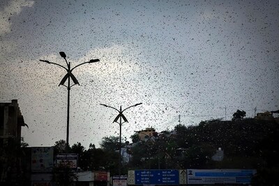 Lakhs of Farmers Put on High Alert over Locust Attack as Odisha Identifies Nine Vulnerable Districts