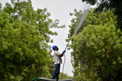 As Delhi's Air Quality Improves, Centre Announces Four-solution Programme to Reduce Pollution by 90%