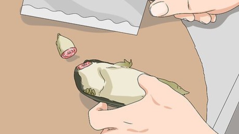 How to Clean a Soft Shell Turtle Before Cooking