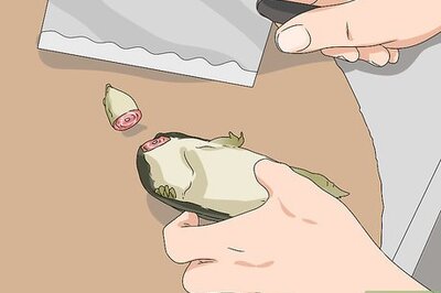 How to Clean a Soft Shell Turtle Before Cooking