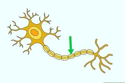 How to Increase Myelin