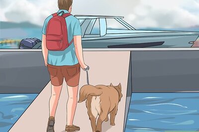 How to Go Boating With Your Dog