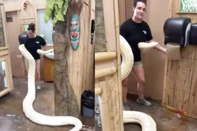 Woman Wraps Python Around Neck And Drags It To A Room, Here’s What Happens Next