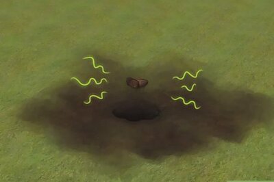 How to Get Rid of Gophers