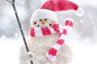 Here’s How To Make Money From Christmas Tree Business