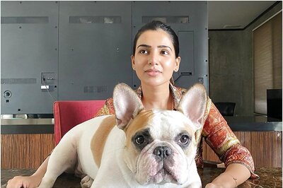 Samantha Akkineni is having a Good Day with Pet Hash