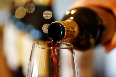 Tis the Season to Get Tipsy for Musk Lorikeets in Australia as Alcohol Drips Down Eucalyptus