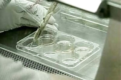 Stem cells drive human creativity: Scientists