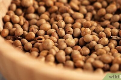 How to Ferment Beans