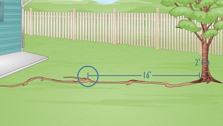 How to Dig up Tree Roots