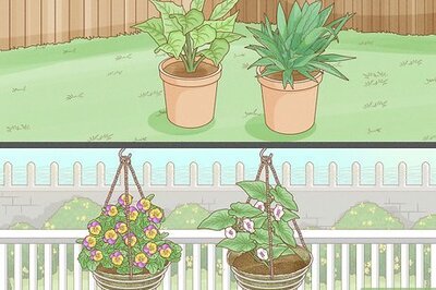 How to Arrange Flower Pots