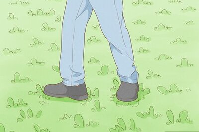 How to Know if Your Lawn Needs Dethatching