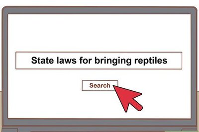 How to Safely and Properly Pack, Transport and Move Your Reptile