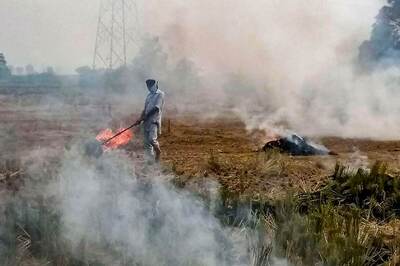 Stubble Burning: Cases Lodged Against 30 Farmers in UP's Fatehpur District in Past 2 Days